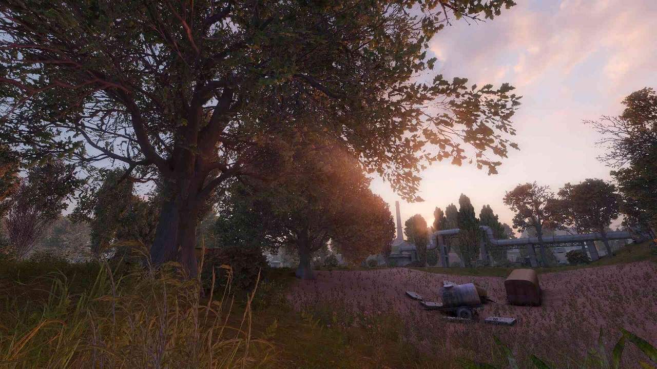 Сталкер New Project — Скриншот №5