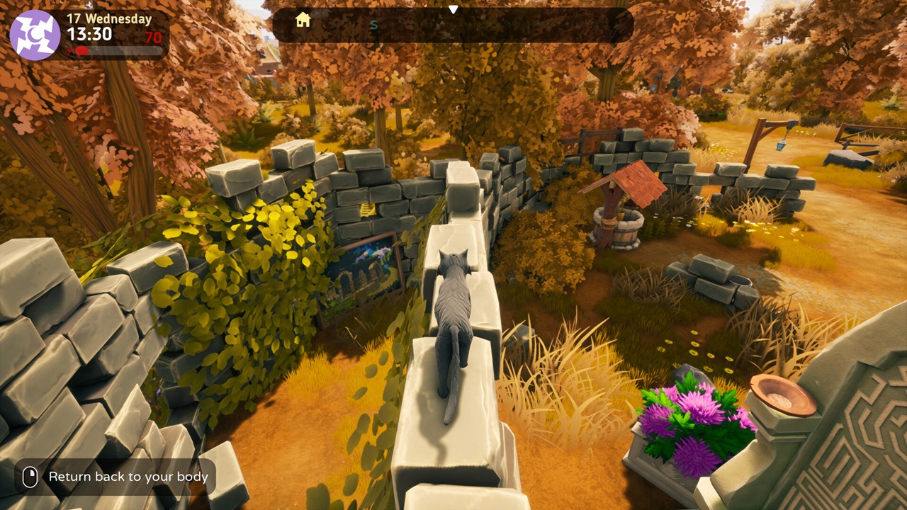 The Witch of Fern Island — Скриншот №3