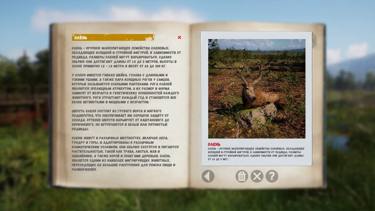 Симулятор Русской Души — Скриншот №4