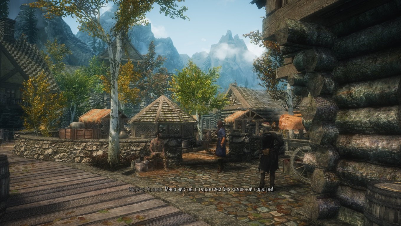 The Elder Scrolls V: Skyrim — Скриншот №6