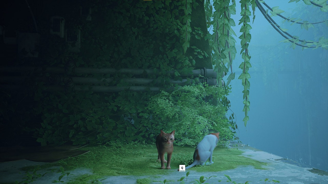 Stray — Скриншот №2 Stray — Скриншот №2