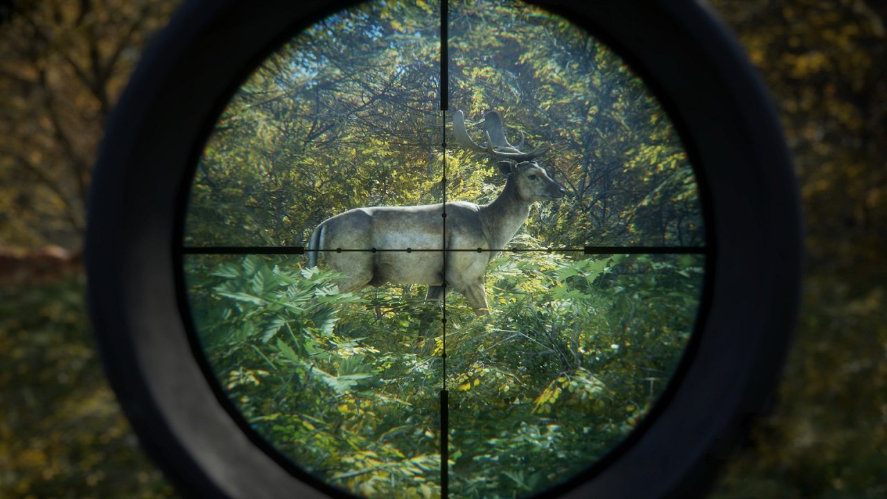 TheHunter Call of the Wild — Скриншот №5 TheHunter Call of the Wild — Скриншот №5