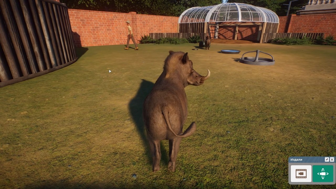 Planet Zoo — Скриншот №2 Planet Zoo — Скриншот №2