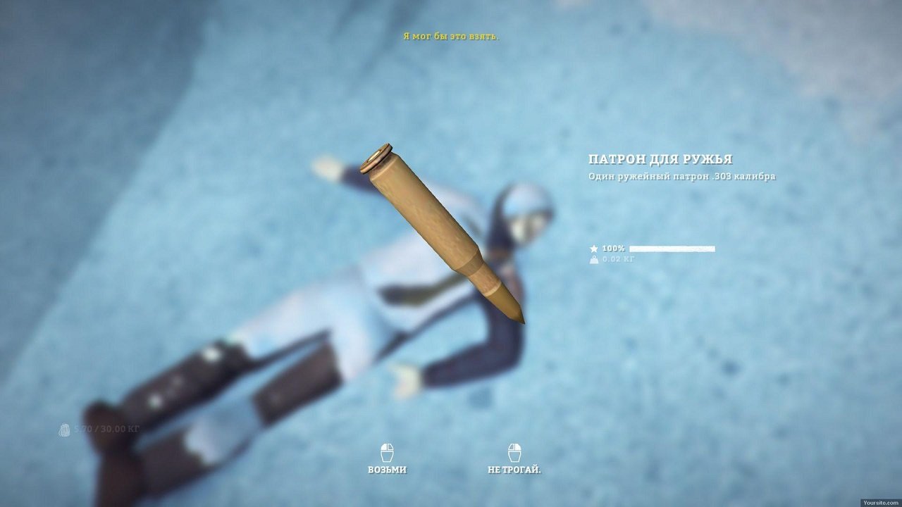 The Long Dark — Скриншот №2