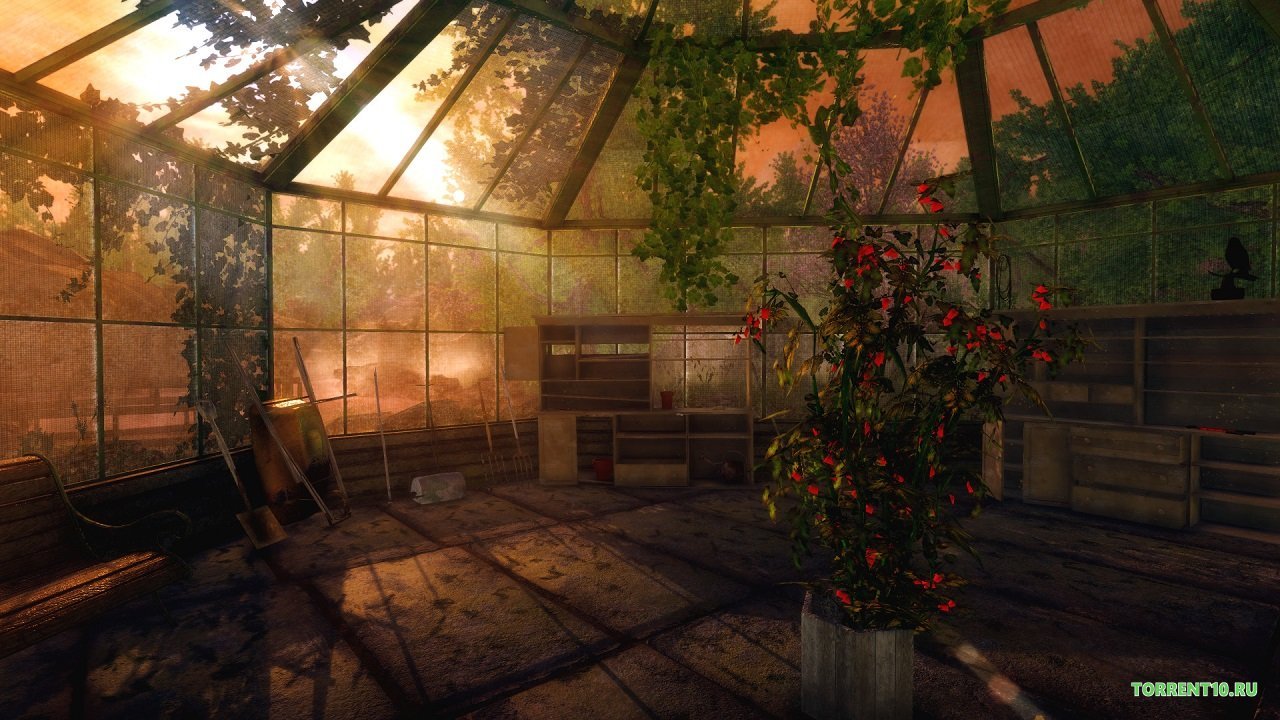 Rise of Insanity — Скриншот №5