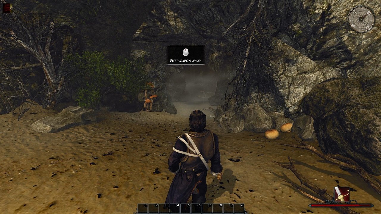 Risen 2: Dark Waters — Скриншот №4