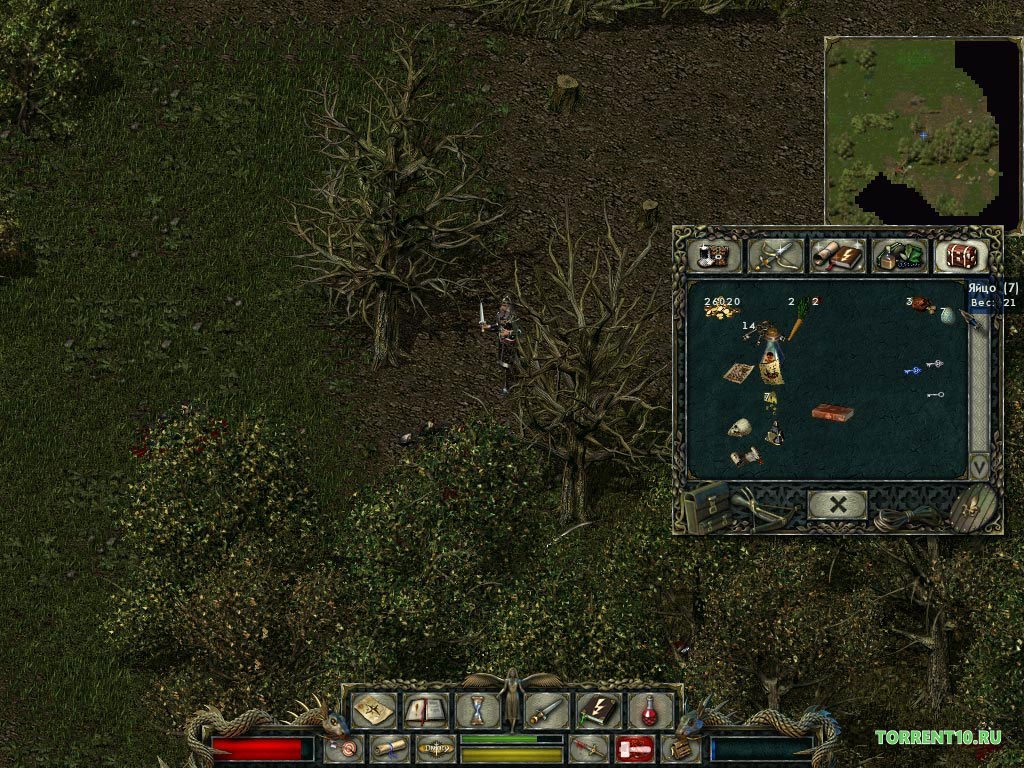 Divine Divinity — Скриншот №1