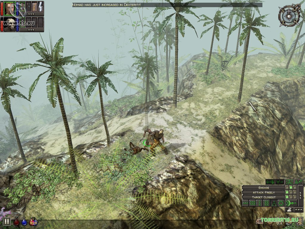 Dungeon Siege — Скриншот №5