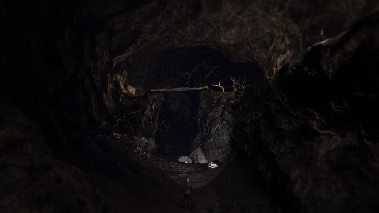 Through the Woods — Скриншот №9