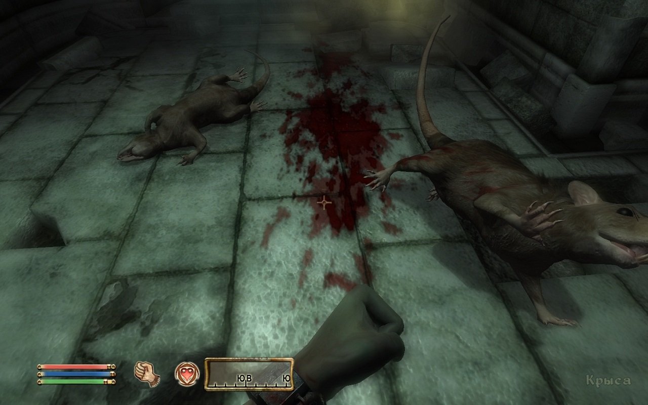 The Elder Scrolls 4: Oblivion — Скриншот №1