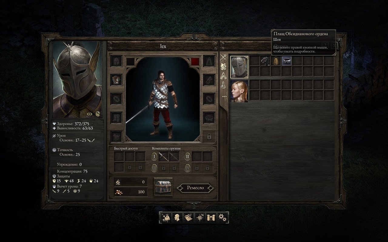 Pillars of Eternity: Definitive Edition — Скриншот №5