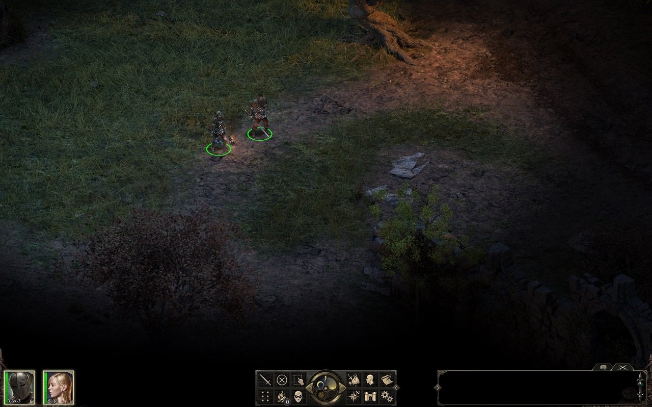 Pillars of Eternity: Definitive Edition — Скриншот №6