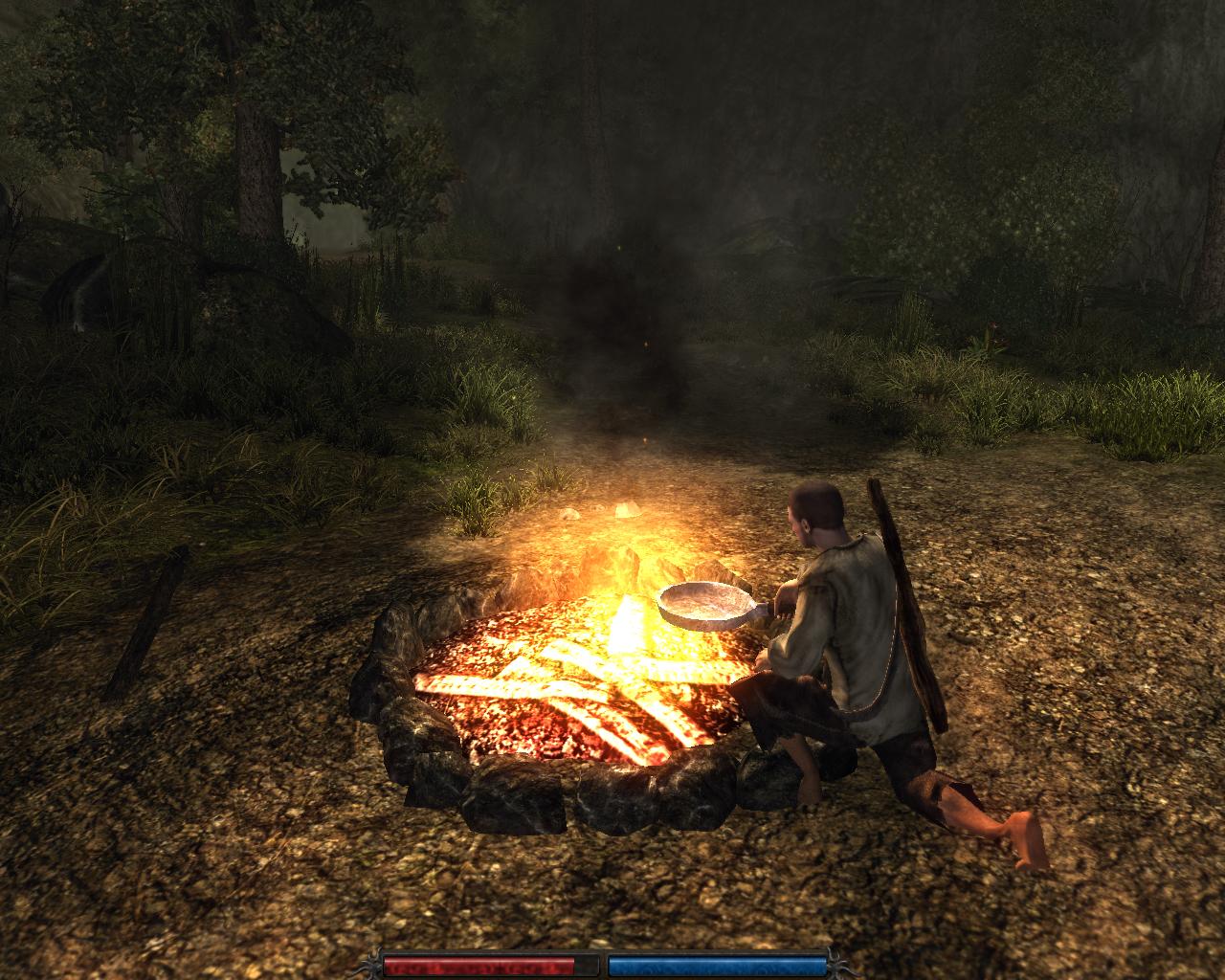 Risen Механики — Скриншот №5