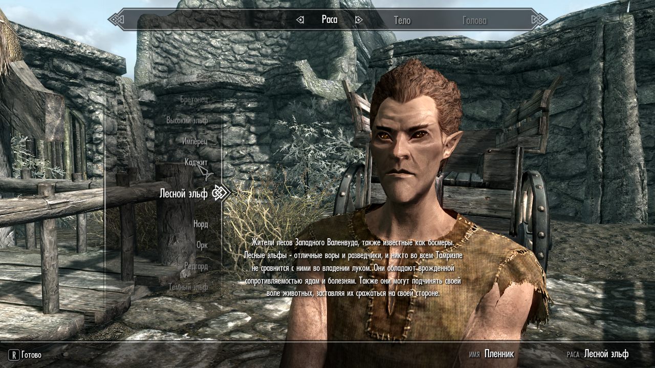 Скайрим Легендарное издание от Механиков — Скриншот №4