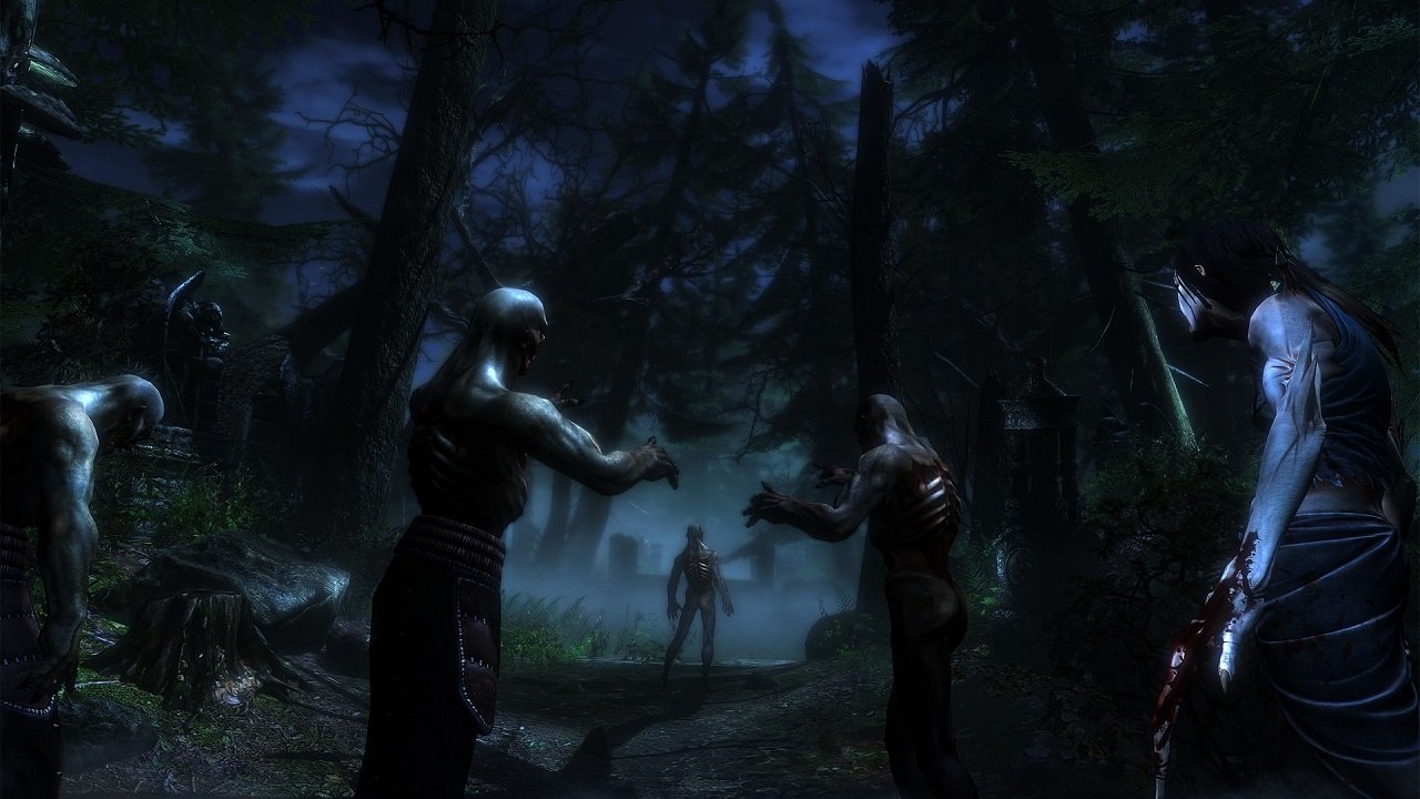 Two Worlds 2 Call of the Tenebrae — Скриншот №6