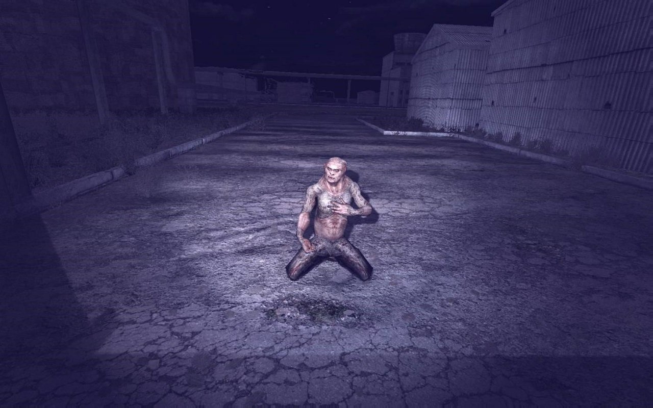 Сталкер Народная солянка ОП 2 — Скриншот №5