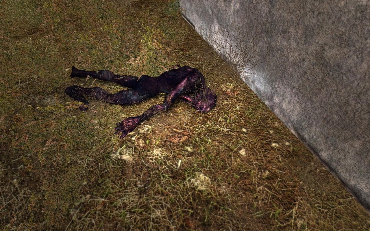 Сталкер Объединенный пак 2.1 — Скриншот №6