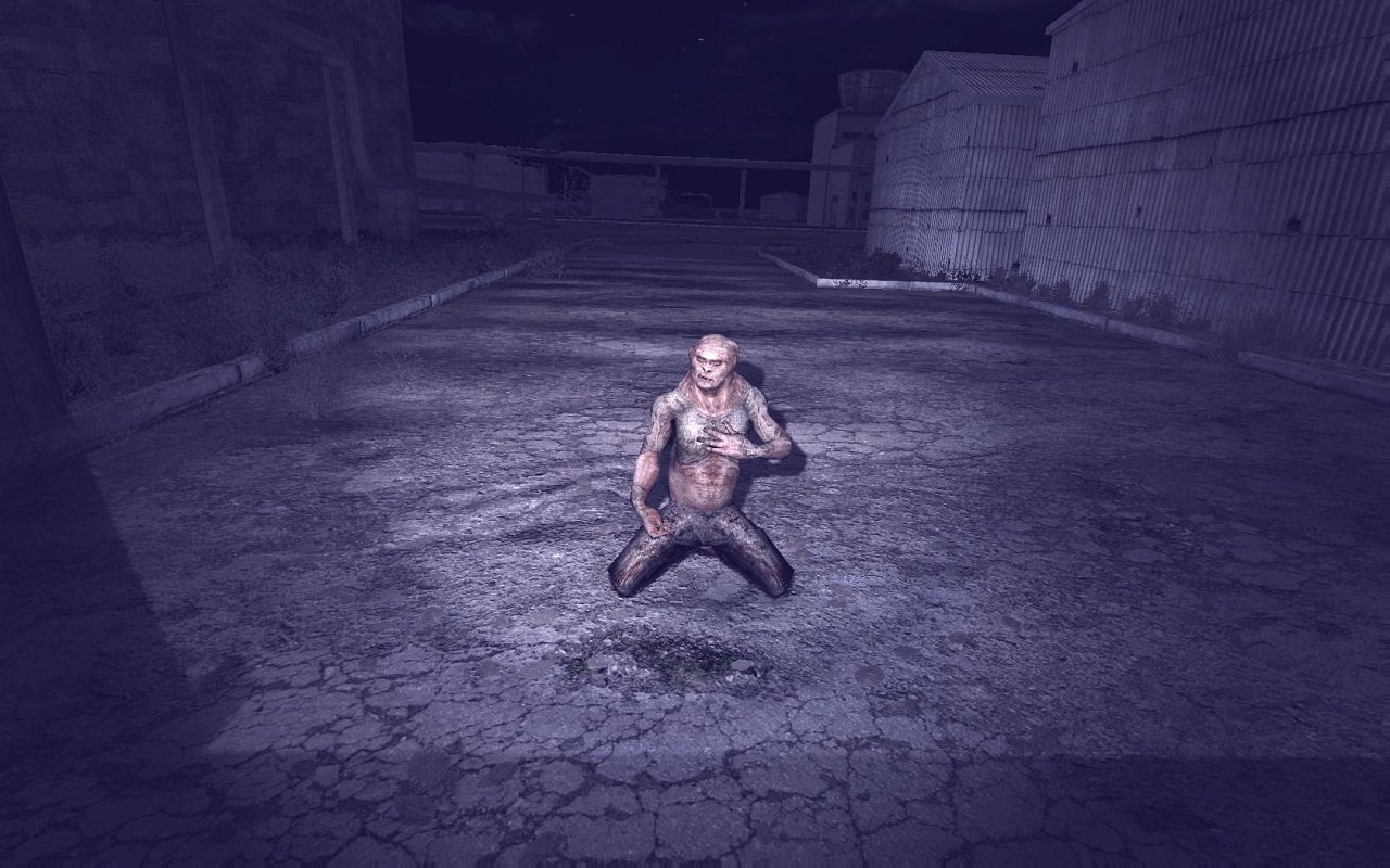 Сталкер Объединенный пак 2.1 — Скриншот №2