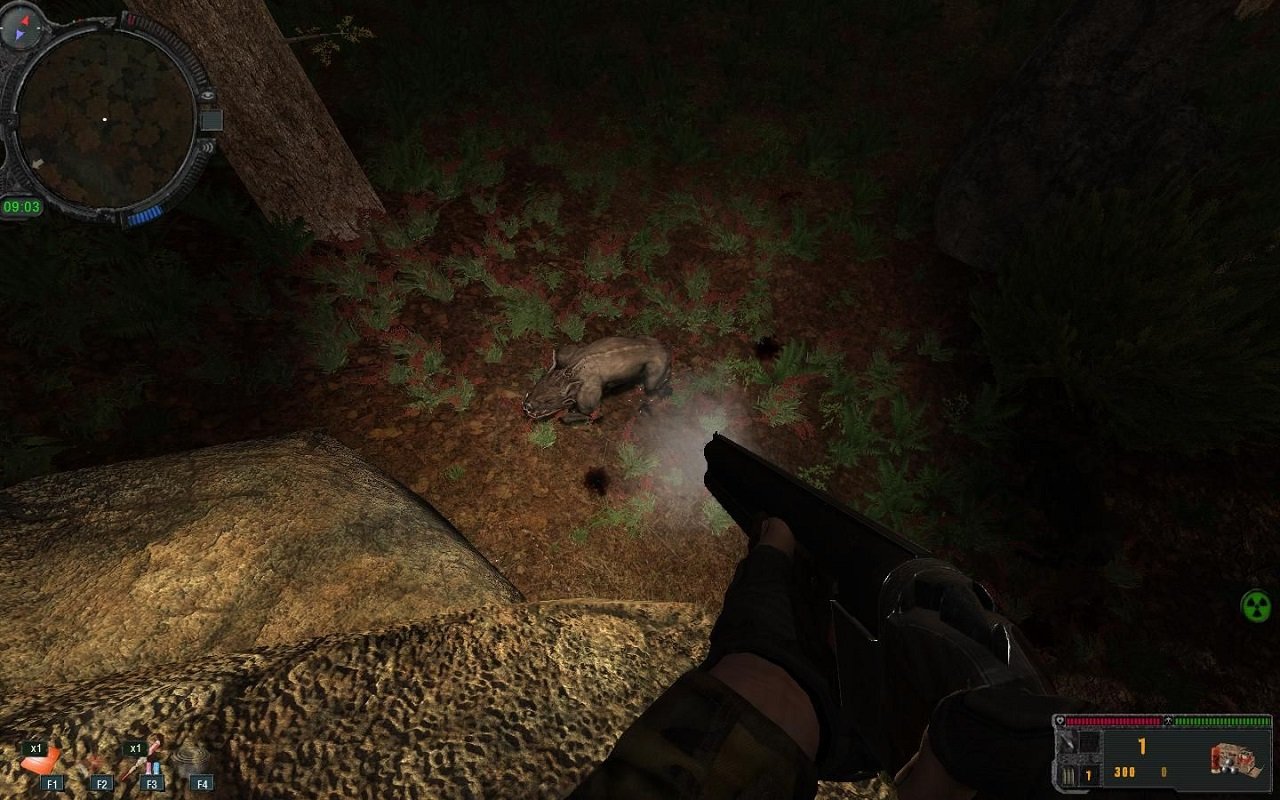 Сталкер Золотой обоз 2 — Скриншот №2