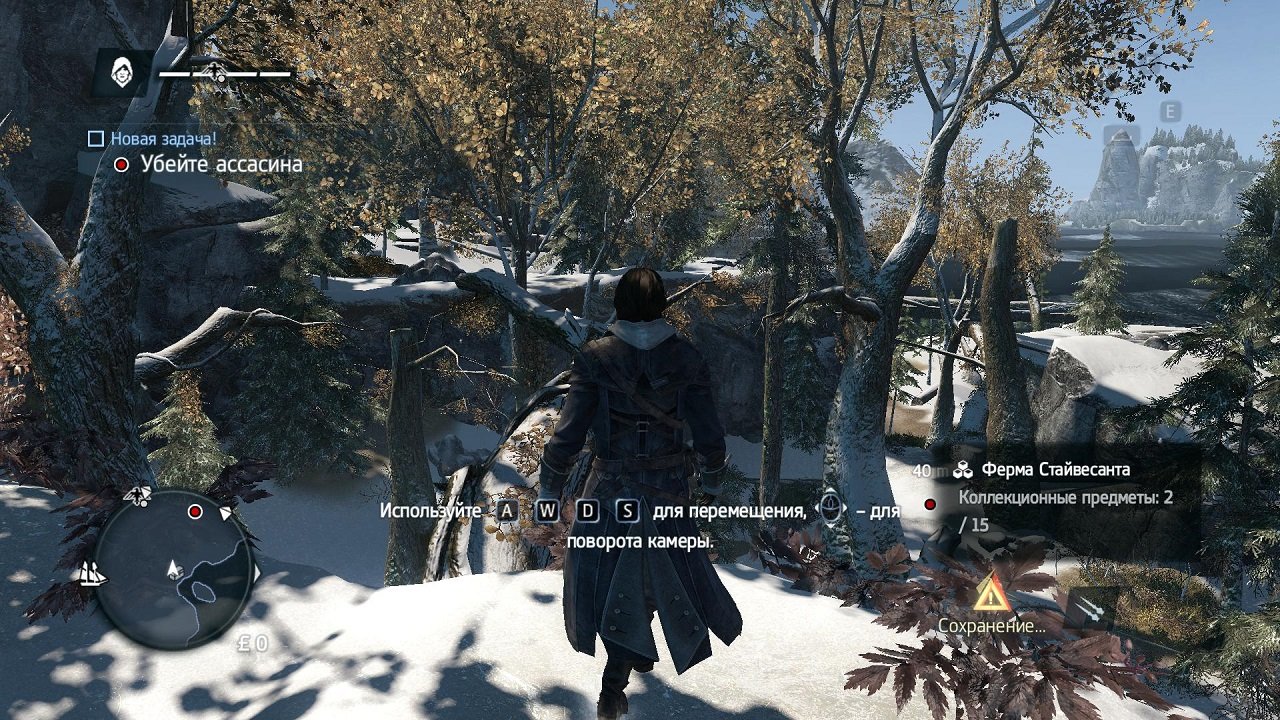 Assassins Creed 6 — Скриншот №3