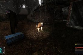 Сталкер Золотой шар — Скриншот №3