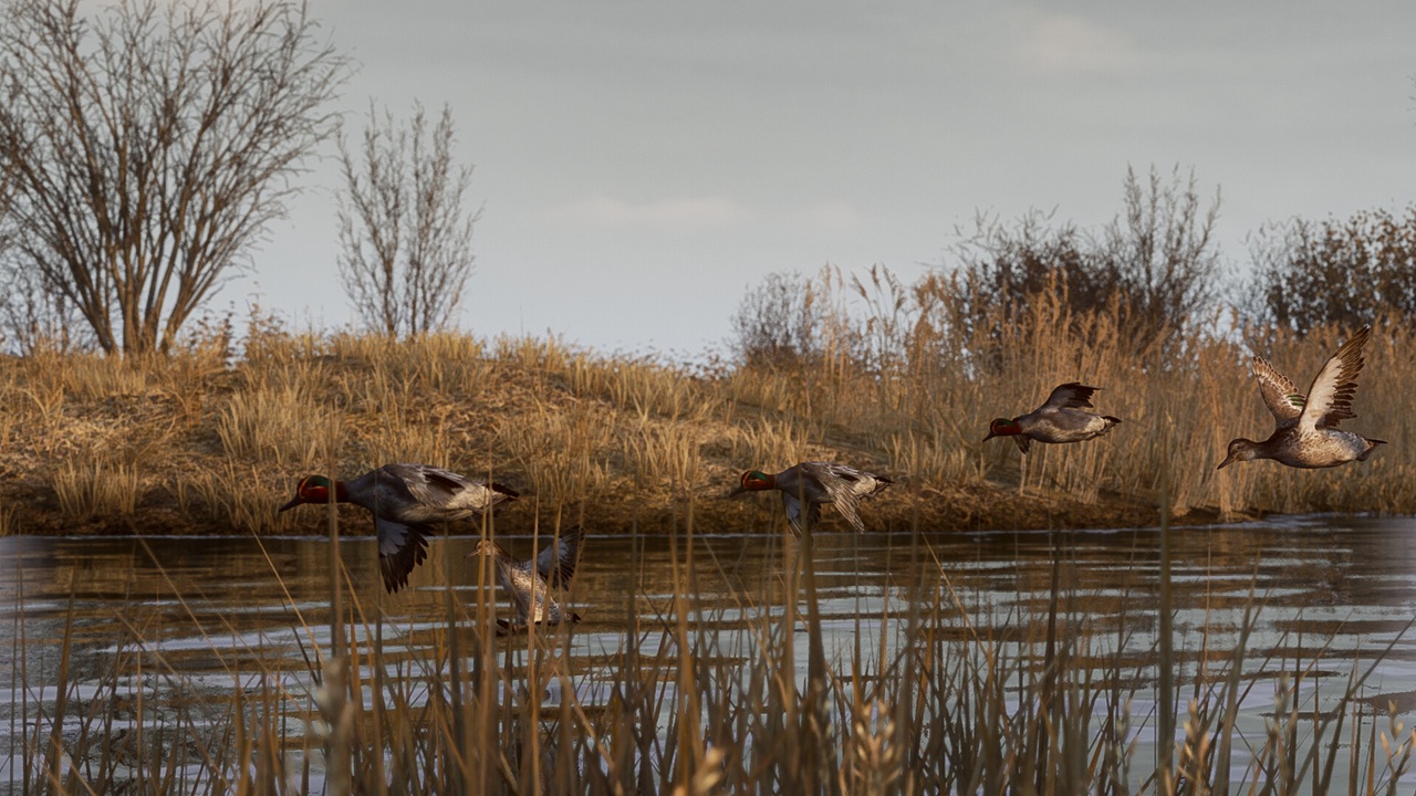 BULT Hunting simulator — Скриншот №2